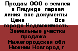 Продам ООО с землей в Пицунде, первая линия, все документы › Цена ­ 9 000 000 - Все города Недвижимость » Земельные участки продажа   . Нижегородская обл.,Нижний Новгород г.